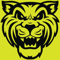Wildcat Movers - Dallas Logo