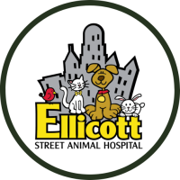 Ellicott Street Animal Hospital Logo