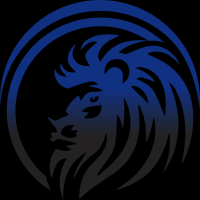 Digital Kings Networking LLC Logo