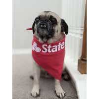 Peter Story - State Farm Insurance Agent Logo