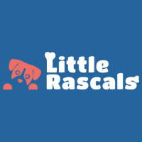 Little Rascals Dog Walking and Pet Sitting Logo