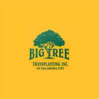 Big Tree Transplanting Logo