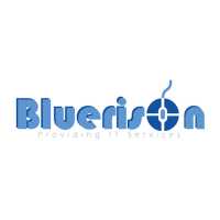 Bluerison Logo
