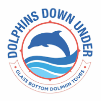 Dolphins Down Under Logo