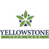 Yellowstone Tree Care Logo