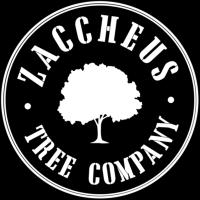 Zaccheus Tree Company LLC Logo