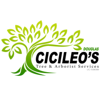 Douglas Cicileo Tree and Arborist Services Logo