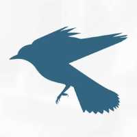 Kingbird Legal Logo