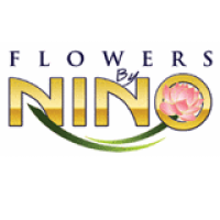 Flowers By Nino Logo