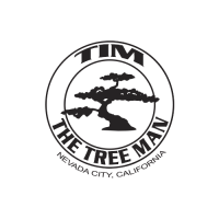 Tim The Tree Man Logo