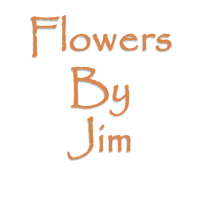 Flowers By Jim Logo