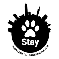 Stay. Logo