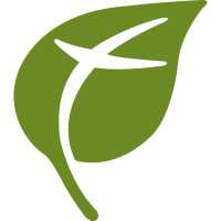 Shahad Ali, MD Logo