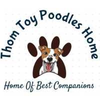 Thom Toy Poodles Home Logo