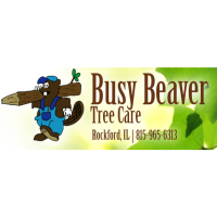 Busy Beaver Tree Care & Lawn Logo