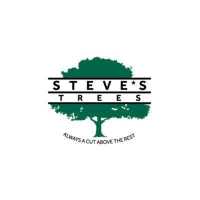 Steve's Trees Logo