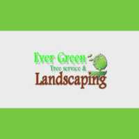 Ever Green Tree Services & Landscaping Logo