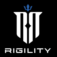 Rigility Surveillance Solutions Chicago Logo