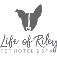 Life of Riley Rockville Logo