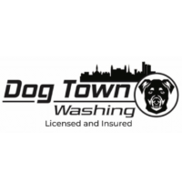 Dogtown Washing Logo