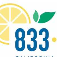 833 Limones Logo