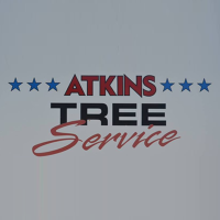 Dave Atkins Your True Tree Professional Logo