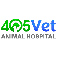 405 Vet Animal Hospital Logo