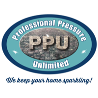 Professional Pressure Unlimited Logo
