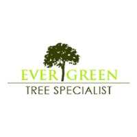Evergreen Tree Specialist Logo