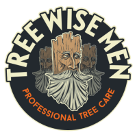Tree Wise Men Logo