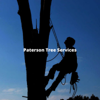 Tree Service Paterson Logo