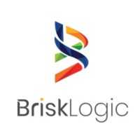 Brisk Logic Logo