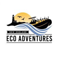 New England EcoAdventures - Kennebunkport Boat Tours Logo