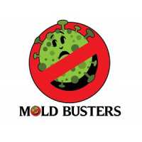 Mold Busters Fort Worth Logo