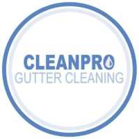 Clean Pro Gutter Cleaning Buffalo Logo