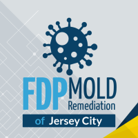 FDP Mold Remediation of Jersey City Logo