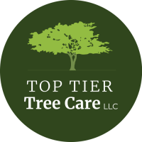 Top Tier Tree Care, LLC Logo