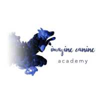 Imagine Canine Academy Logo