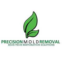 Precision Mold Removal Miami Logo
