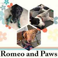 Romeo & Paws Logo
