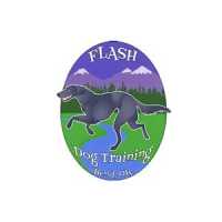 Flash Dog Training, LLC Logo
