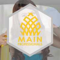 Main Professionals Logo