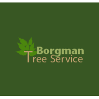 Borgman Tree Service Logo