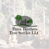 Three Brothers Tree Service, LLC Logo