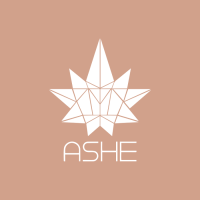 ASHE Society Logo