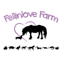 Fellinlove Farm Logo