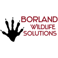 Borland Wildlife Solutions Logo