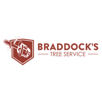 Braddock's Tree Service Logo