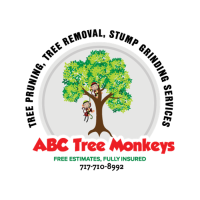 ABC Tree Monkeys LLC Logo