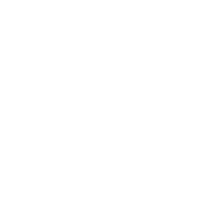Bubba Alicia & Sons Property Preservation Logo